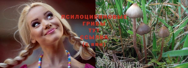 соль курить ск Абаза